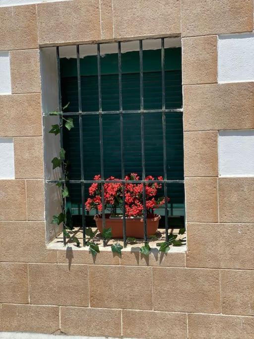 El Rincon Del Rey Apartment Torrejon del Rey Luaran gambar